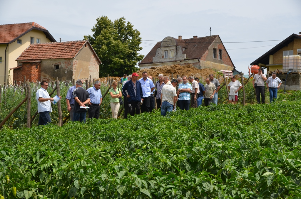 Tarevci kod Modriče: Snove i planove ostvaruju uporni